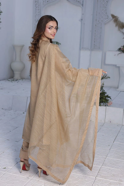 Embroidered Tan Brown A-Line Organza Net Kurta Set with Raw Silk Shalwar & Organza Dupatta