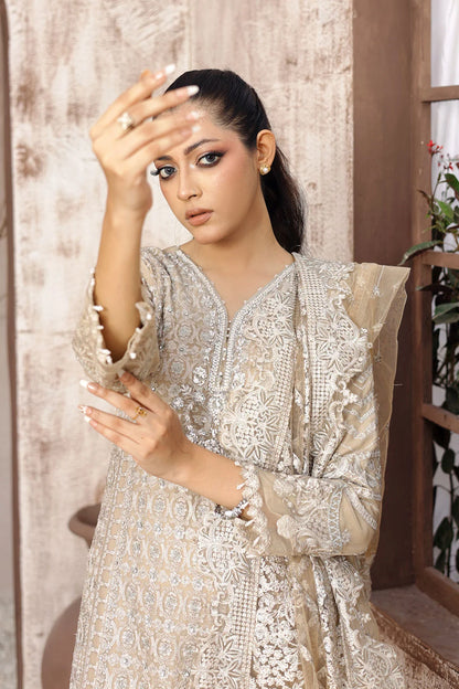 Embroidered Chiffon A-Line Suit with Net Dupatta