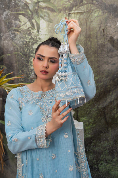 Baby blue | Organza | Embroidered | 4-Piece Suit