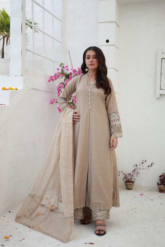 Silk Chiffon Embroidered Dress with Dupatta