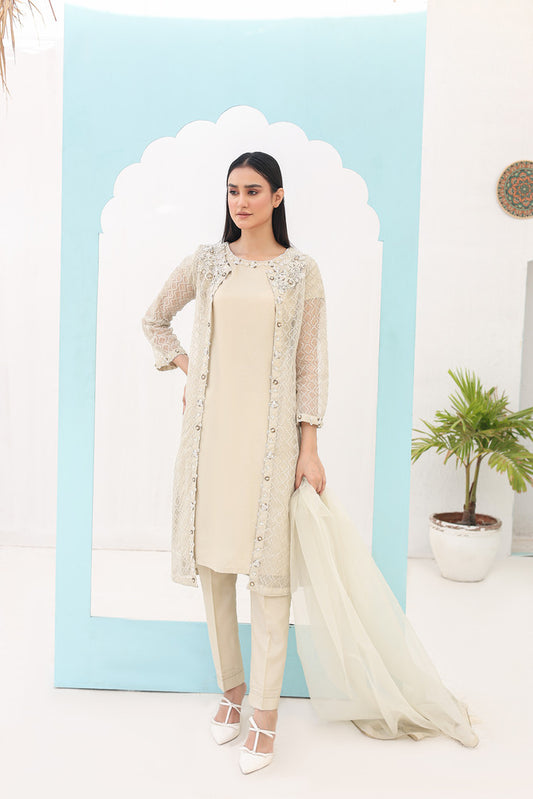 3 Piece Embroidered Off-White Organza Dress