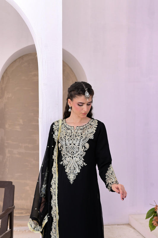 Black Chiffon Embroidered Dress for Parties