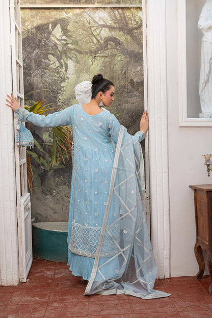 Baby blue | Organza | Embroidered | 4-Piece Suit