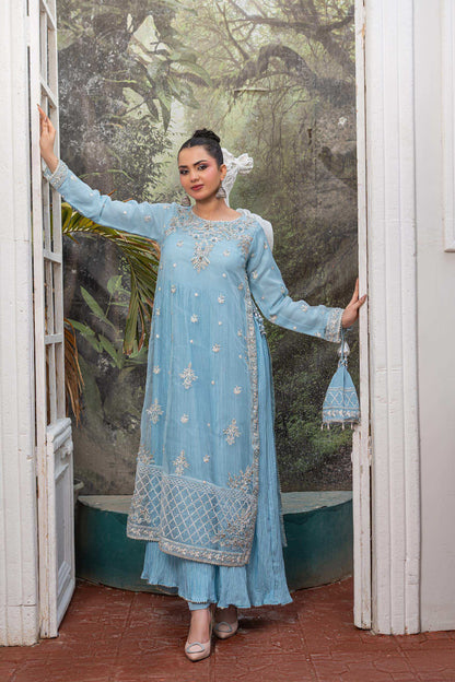Baby blue | Organza | Embroidered | 4-Piece Suit