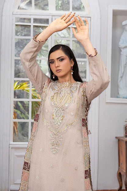 Taupe embroidered 4-piece Pakistani suit featuring a side dori style Khaddi Net overcoat with full lining, raw silk palazzo trousers, and a matching Khaddi Net dupatta.