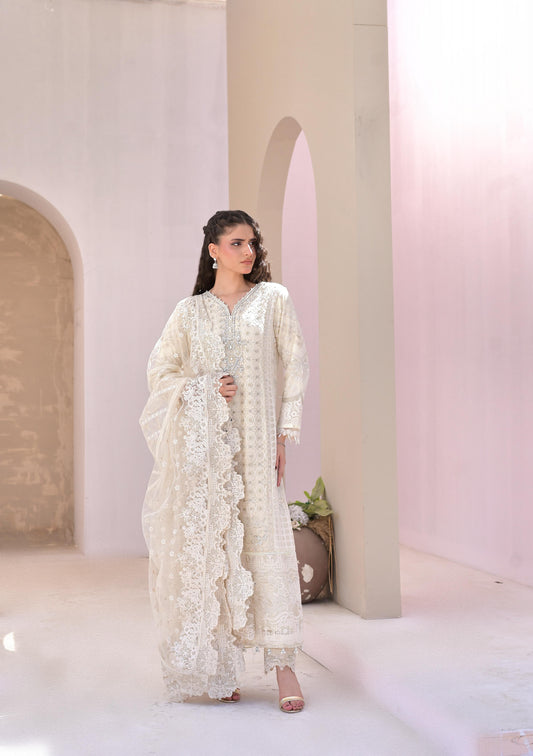 White Embroidered Chiffon Suit